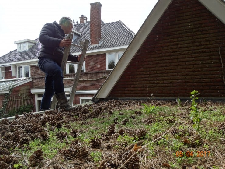 Bouwkundige Keuring Baambrugge Bouwkundige Keuring Baambrugge