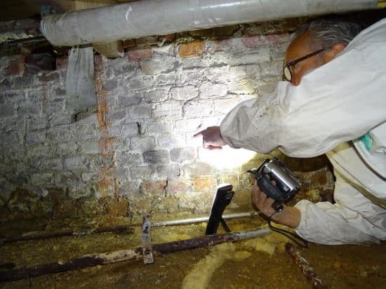 Inspector using a torch and camera in an old Amsterdam cellar with damp brick walls