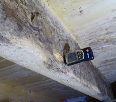 Moisture meter measuring the moisture content of a timber floor beam